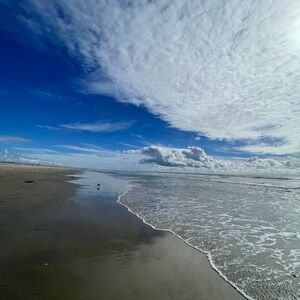 Meet your Posher, Angelica